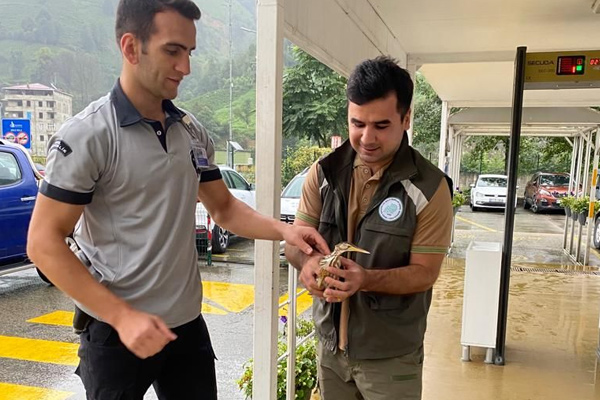 Biyoçeşitlilik Hayatımıza Renk Katıyor